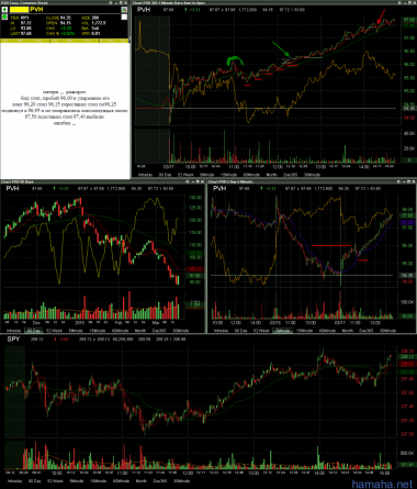 PVH. MGM...