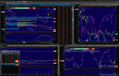 SKX 25.07.2016 вход -выход