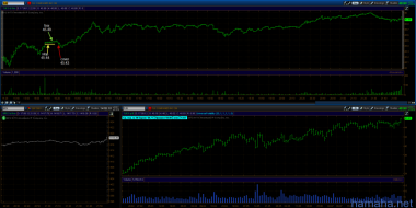 trading day 17.08.12