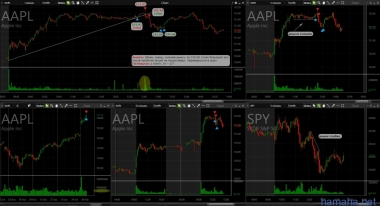 Трейд от 07.02.2017 AAPL, FIS
