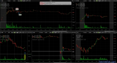 Трейд от 14.02.2017, HIBB, SCG, TRUE.