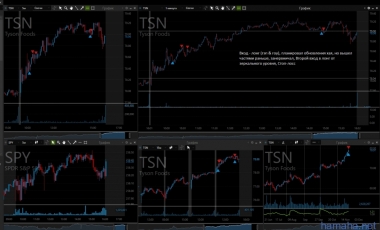 TSN