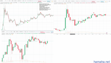 XEM/USD