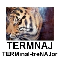 Сайт termnaj